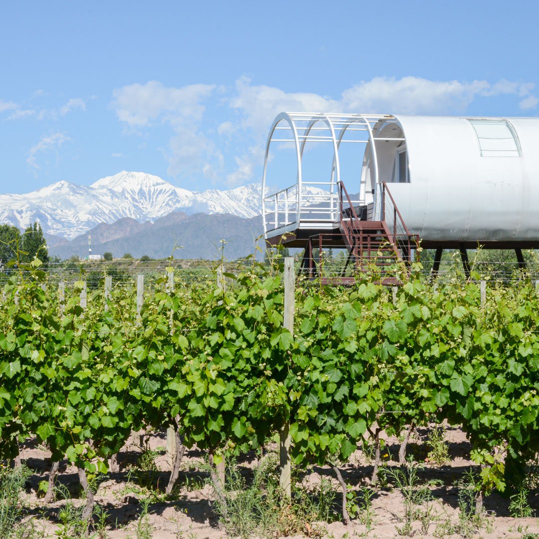 viinikuvat-argentiina